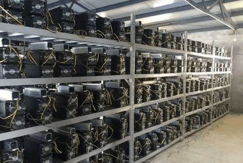 A close-up of several high-powered GPUs arranged in a mining rig, showcasing the intricate cooling system and connections.